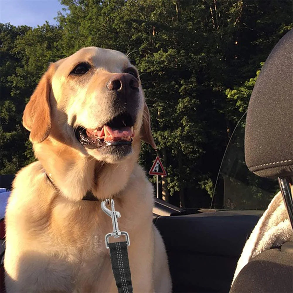 Reflective Adjustable Dog Safety Belt for Car