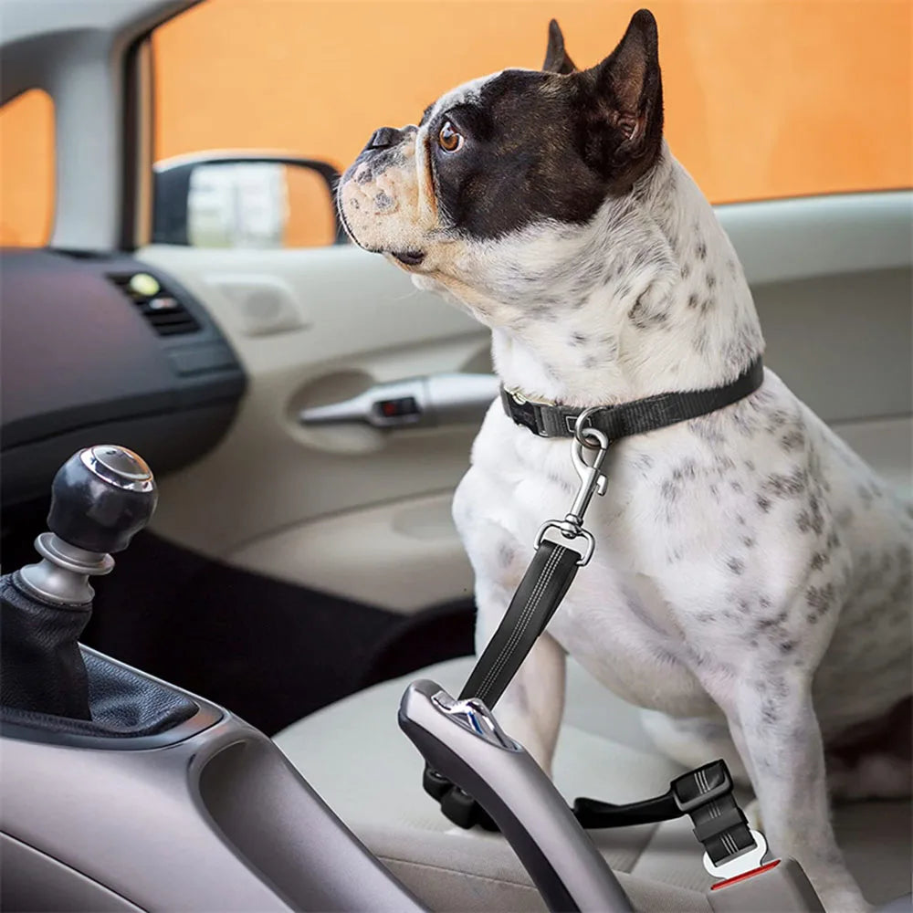 Reflective Adjustable Dog Safety Belt for Car