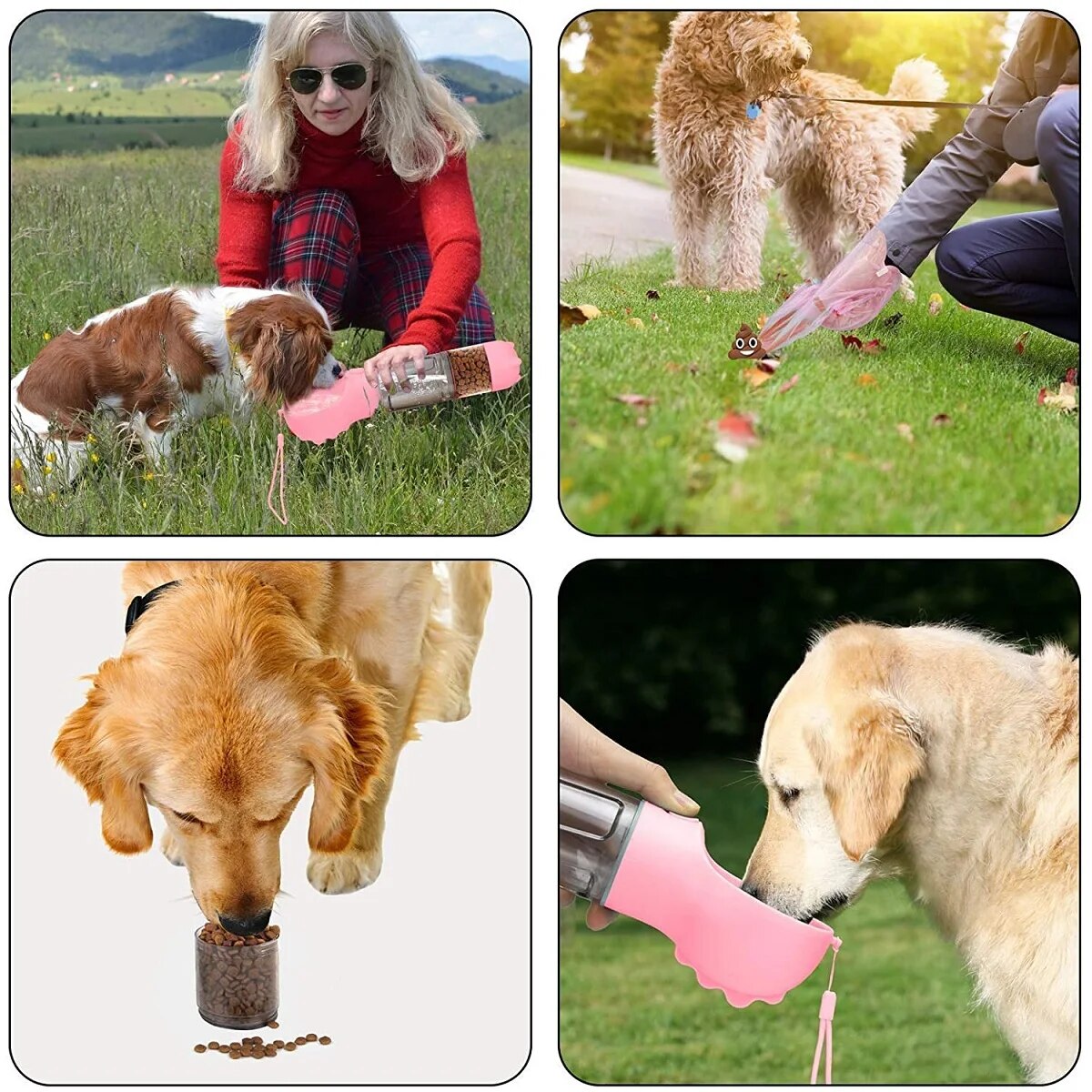 Multifunction pet travel bottle 3 in 1
