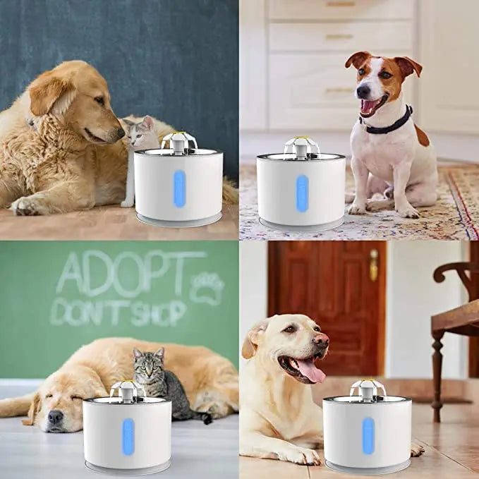 Pet portable USB powered water dispenser